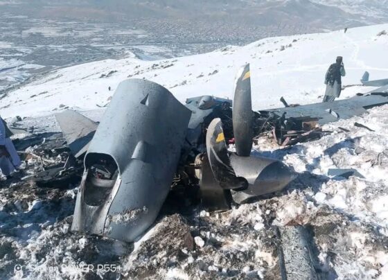 بھارتی ڈرون