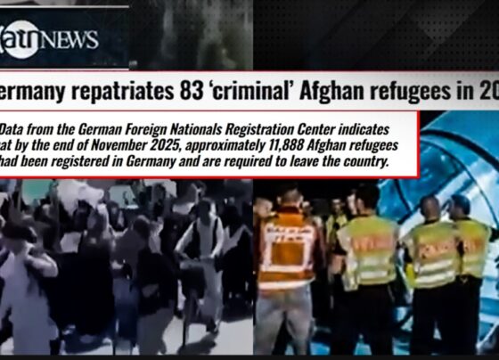 افغان مہاجرین کی پرتشدد و مجرمانہ سرگرمیاں، جرمنی اور ترکیہ سے ملک بدری تیز