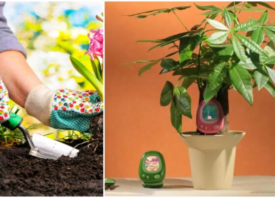 پودوں کی دیکھ بھال کو گیم میں بدل دینے والا اے آئی سمارٹ سینسر متعارف