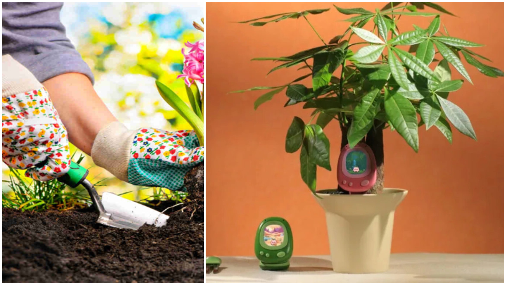 پودوں کی دیکھ بھال کو گیم میں بدل دینے والا اے آئی سمارٹ سینسر متعارف