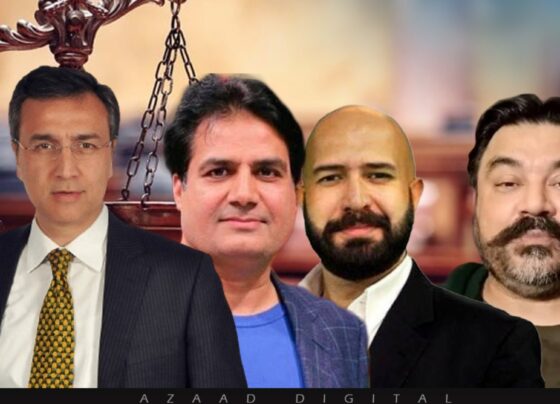 9 مئی ، ریاستی اداروں کیخلاف ڈیجیٹل دہشتگردی : عادل راجہ، صابرشاکر، معید پیرزادہ، وجاہت سعید،کو 2، 2بار عمر قید کی سزا