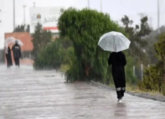 بادل گرجنے برسنے کو تیار لیکن کب؟محکمہ موسمیات کی اہم پیشگوئی آگئی