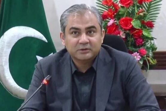 پاکستان کے نام پر کسی صورت حرف آنے کی اجازت نہیں دے سکتے ، وزیر داخلہ