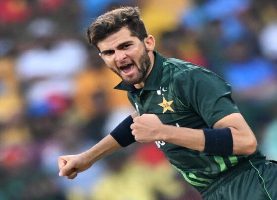 شاہین کی واپسی؟ آسٹریلیا کیخلاف ہوم سیریز سے قبل بڑی خبر اگئی