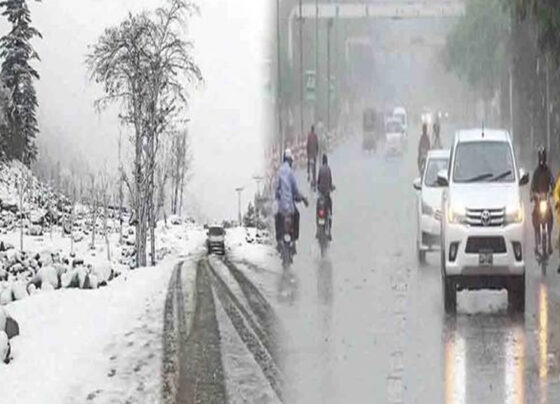 بارش اور برفباری
