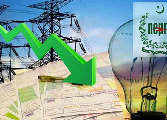 بجلی صارفین