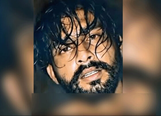 عمیری ویڈیو