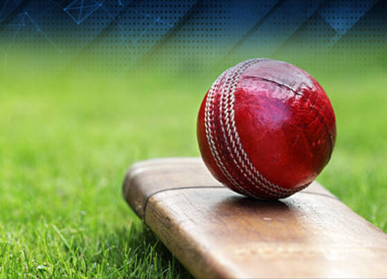 نئی کرکٹ ٹیم