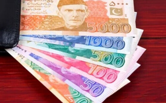 نئے کرنسی نوٹ