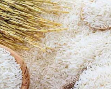 چاول گندم