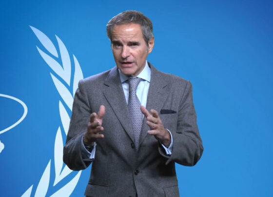 ڈائریکٹر آئی اے ای اے