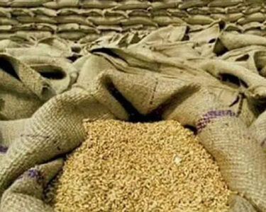گندم کی قیمت
