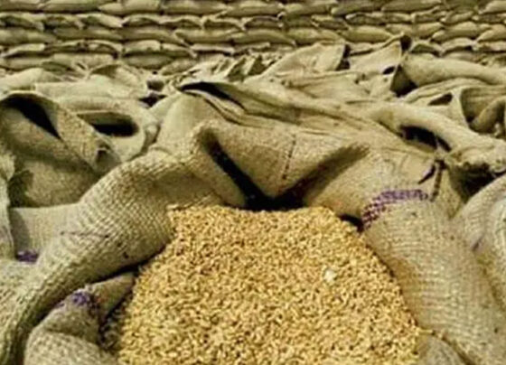 گندم کی قیمت