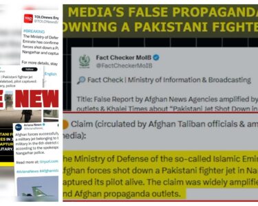 وزارتِ اطلاعات و نشریات پاکستان نے افغان اور بھارتی میڈیا کا پاکستانی پائلٹ کی گرفتاری کا جھوٹا پروپیگنڈا بے نقاب کر دیا