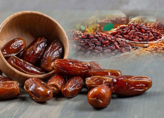 کھجوروں