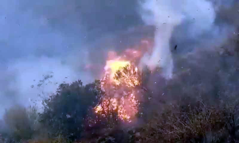 مارگلہ ہلز کے جنگلات میں آگ بھڑک گئی ، فائر فائٹرز کارروائیوں میں مصروف