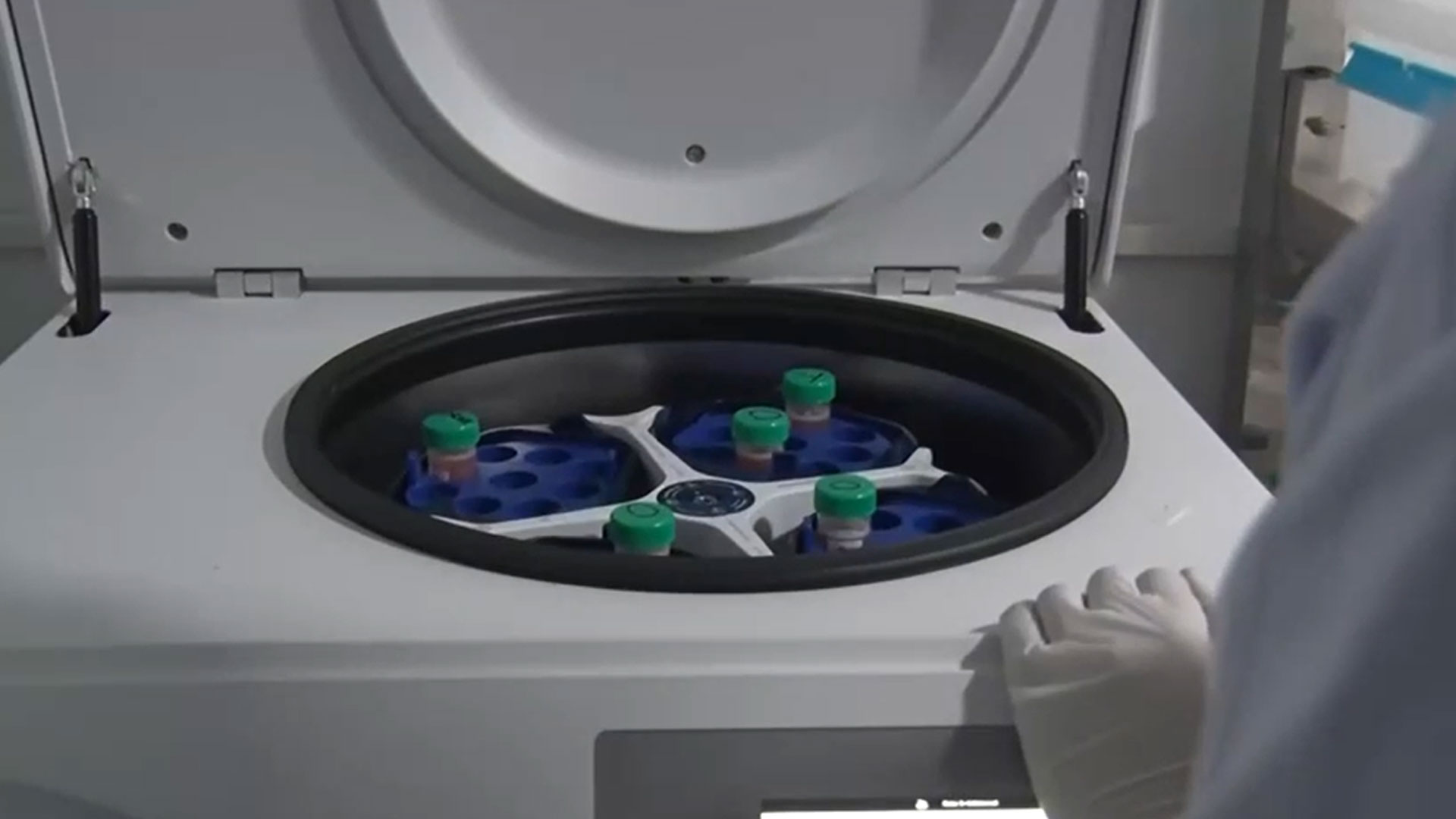 پاکستان کی پہلی ’جینڈر سورٹڈ اسٹرا لیب قائم، لائیوسٹاک شعبے میں انقلاب، دودھ کی پیداوارمیں اضافہ