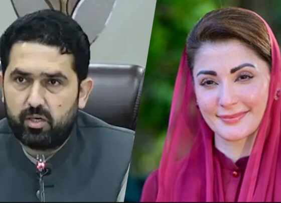 مریم نواز کی سہیل کے پی حکومت پر تنقید