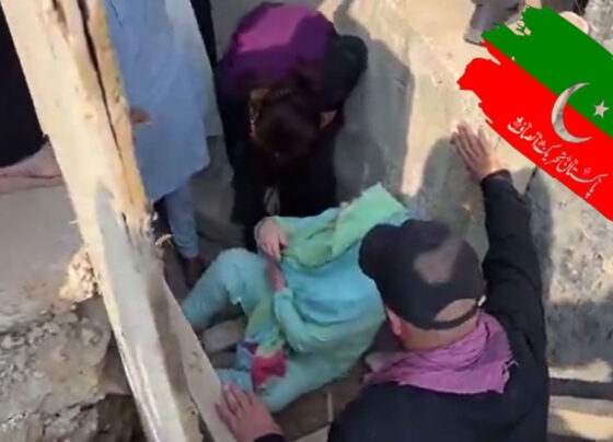 نورین نیازی