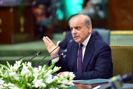 وزیرِ اعظم نے نیپرا کی سولر سے متعلق نئی ریگولیشنز کے اجراء کا نوٹس لے لیا