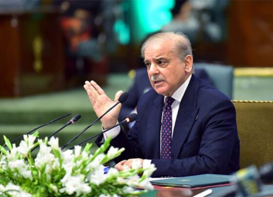 وزیرِ اعظم نے نیپرا کی سولر سے متعلق نئی ریگولیشنز کے اجراء کا نوٹس لے لیا