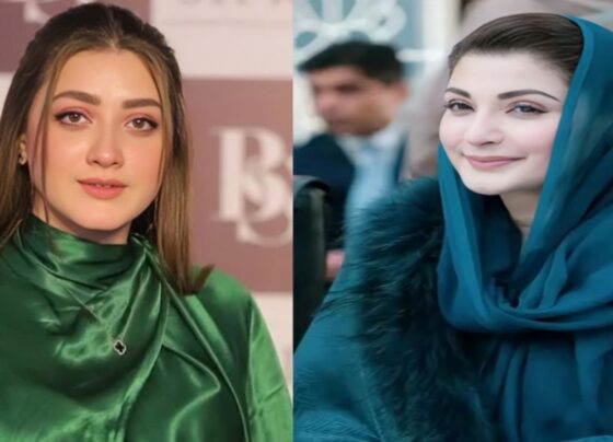 کاش مریم نواز کراچی آجائیں تو یہاں کا حال بھی اچھا ہوجائے، مومنہ اقبال وزیراعلیٰ پنجاب کی معترف