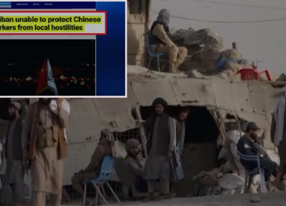 افغان طالبان رجیم کے سیکیورٹی دعووں کا پردہ چاک ، چینی سرمایہ کار اور مزدور شدت پسندوں کے نشانے پرآگئے