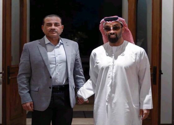 فیلڈ مارشل عاصم منیر کی یواے ای کے نائب حکمران اور مشیر قومی سلامتی سے ملاقات