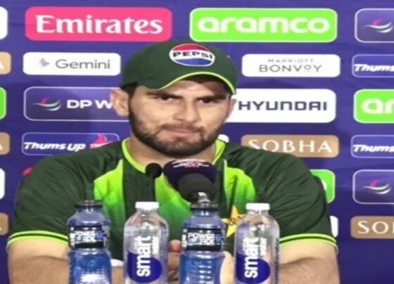 ابھی ٹورنامنٹ میں ہیں، ہم نے اپنا میچ جیتنا ہے، دیکھ رہے ہیں کہ نیوزی لینڈ ٹیم اپنے میچز ہارے، شاہین آفریدی