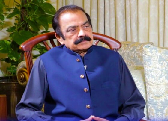 پی ٹی آئی سیاست کررہی ہے، اس کا عمران خان کے علاج سے کوئی تعلق نہیں ، رانا ثناء اللہ