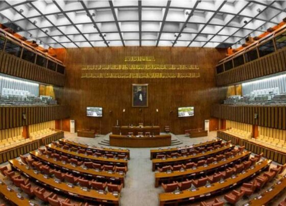 سینیٹ میں افغانستان کی دراندازی کےخلاف قرارداد متفقہ طور پر منظور