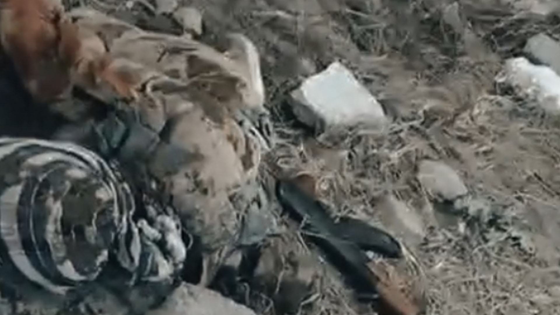 ننگرہار میں دہشت گردوں کے تباہ کیمپ کی وڈیو افغان آن لائن ایجنسی نے جاری کردی