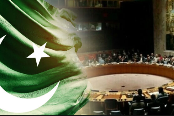 سلامتی کونسل کا پاکستان کی حمایت کا مطالبہ