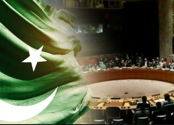 سلامتی کونسل کا پاکستان کی حمایت کا مطالبہ