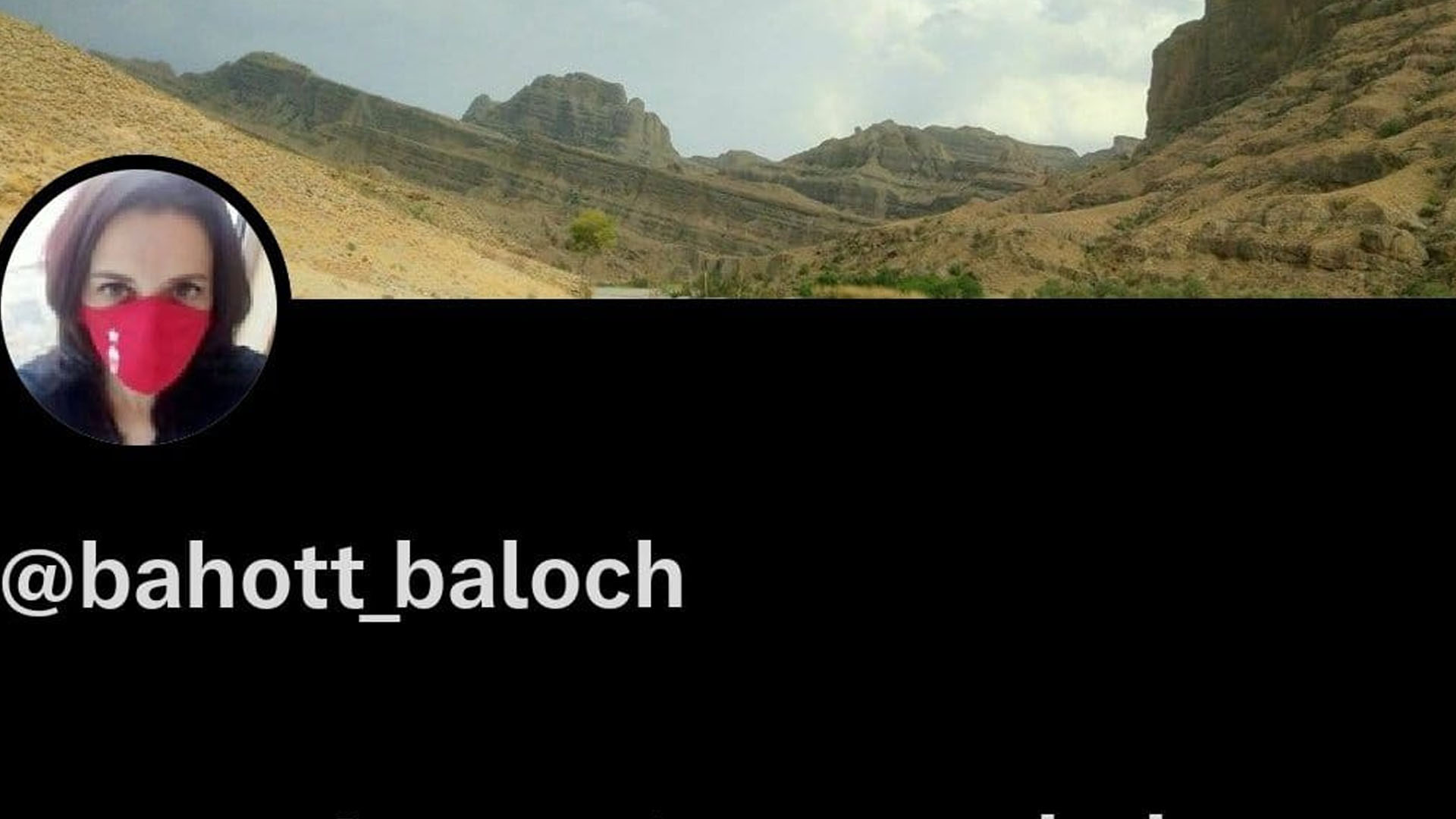 پاکستان اور افواج کے خلاف بھونکنے والے بی ایل اے کے دو بڑے ٹویٹر اکاؤنٹ ہمیشہ کے لیے بند