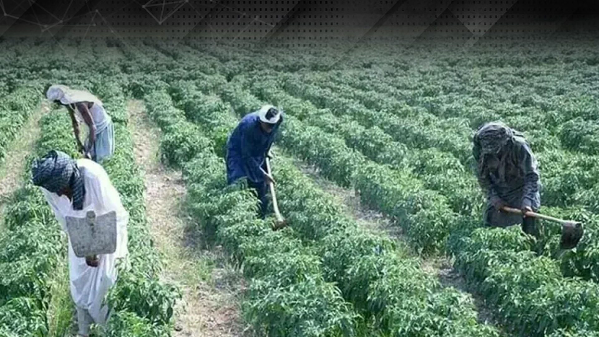 حکومت کا عوام کے لیے بڑا اعلان