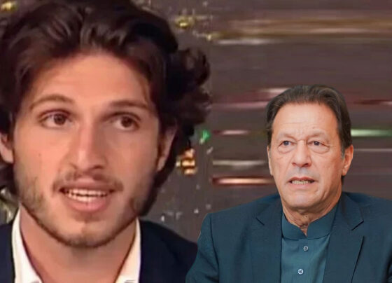 عمران خان کے صاحبزادے قاسم خان