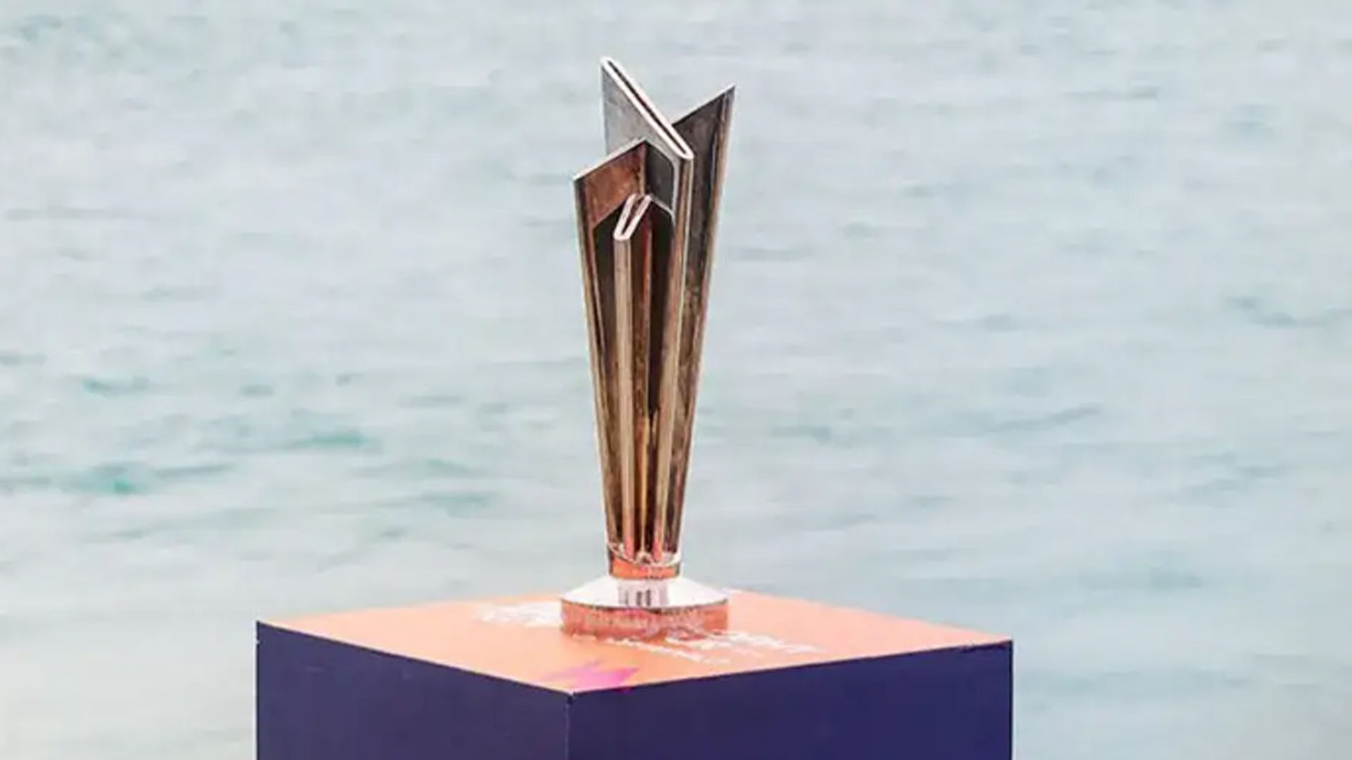 ٹی ٹوئنٹی ورلڈکپ میں شامل 5 عمر رسیدہ کھلاڑی کون ہیں؟