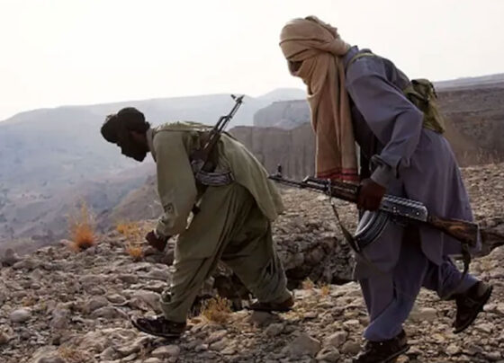 کالعدم بلوچ لبریشن آرمی کو بڑا دھچکا، اہم کمانڈرافغانستان میں مارا گیا