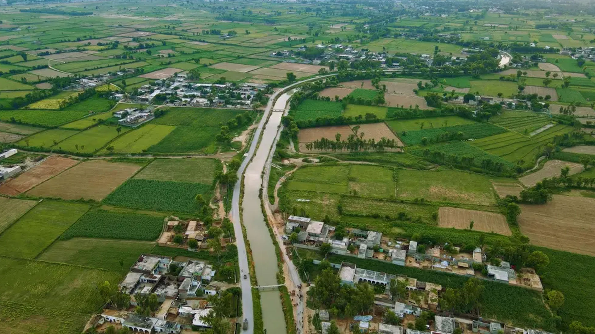  جعلی سازی کا خاتمہ، زمین کی رجسٹری میں انقلابی قدم، جائیداد خرید و فروخت کا طریقہ کار مکمل تبدیل