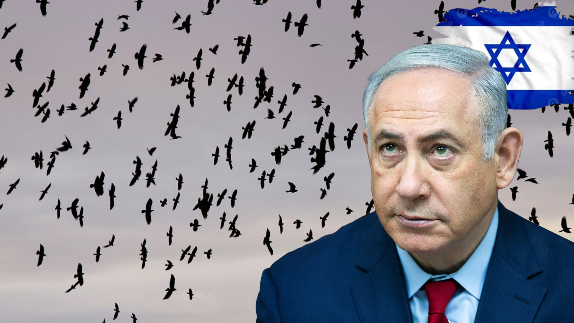 تل ابیب میں کوؤں کے پراسرار غول، سوشل میڈیا پر قیاس آرائیاں، ماہرین نے  بھی رائے دے دی