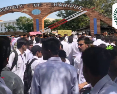 ہری پور یونیورسٹی