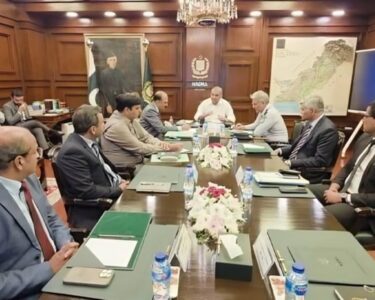 وزیرداخلہ کی غیر قانونی پاکستانی شہریت رکھنے والوں کو نیشنل ڈیٹا بیس سے فوری نکالنے کی ہدایت