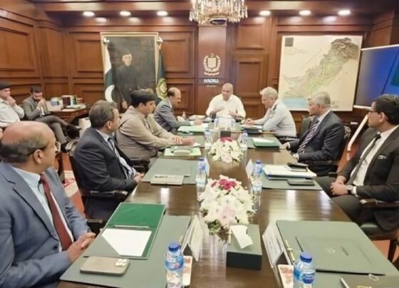 وزیرداخلہ کی غیر قانونی پاکستانی شہریت رکھنے والوں کو نیشنل ڈیٹا بیس سے فوری نکالنے کی ہدایت