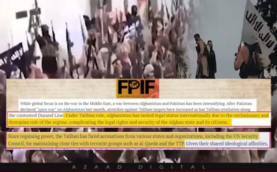 دہشتگرد گروہوں کی سرپرستی اور انسانی حقوق کی پامالی، افغان طالبان رجیم کا سفاک چہرہ بے نقاب