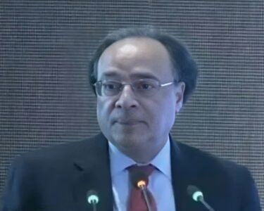 ملکی معیشت کو مستحکم کرنے کے اقدامات کیے جا رہے ہیں , وزیرِ خزانہ محمد اورنگزیب