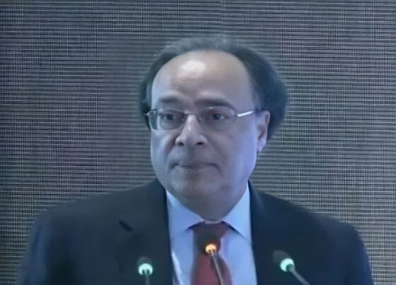 ملکی معیشت کو مستحکم کرنے کے اقدامات کیے جا رہے ہیں , وزیرِ خزانہ محمد اورنگزیب