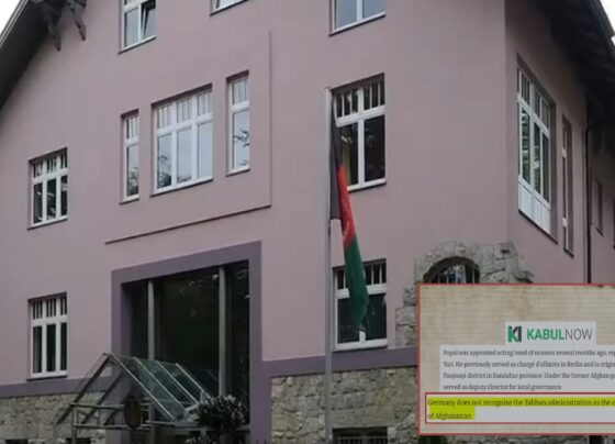 سفارتی تنہائی کا شکار طالبان رجیم کو بڑا دھچکا، جرمنی کا افغان نمائندے کو تسلیم کرنے سے انکار