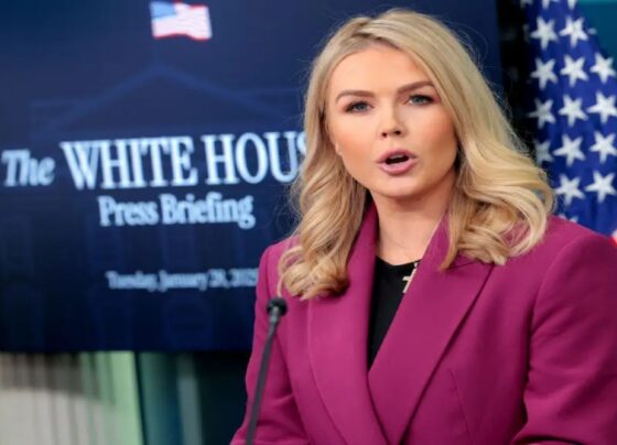 ایران میں فی الحال زمینی افواج داخل کرنے کا ارادہ نہیں، ترجمان وائٹ ہاؤس