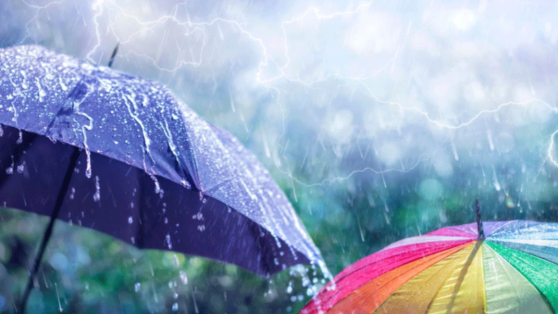 بارشیں ہی بارشیں مگر کب تک ؟ محکمہ موسمیات نے پیشگوئی کردی